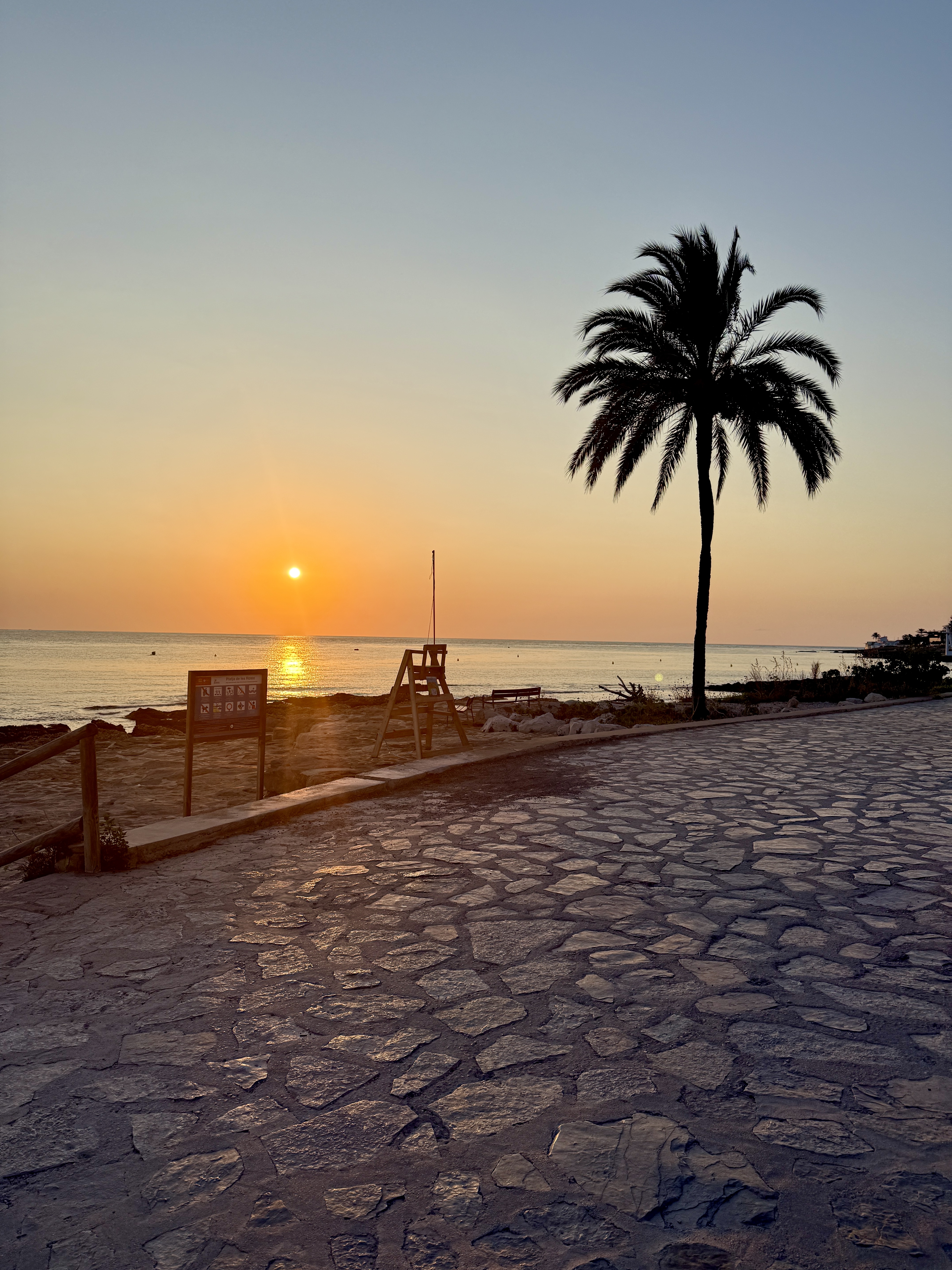 Dénia – Palme bei Sonnenaufgang am Meer